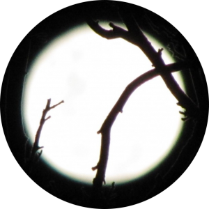 La Luna Meditations © circle-moon with branches