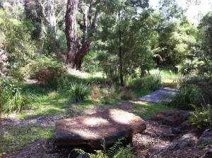 Nature's table